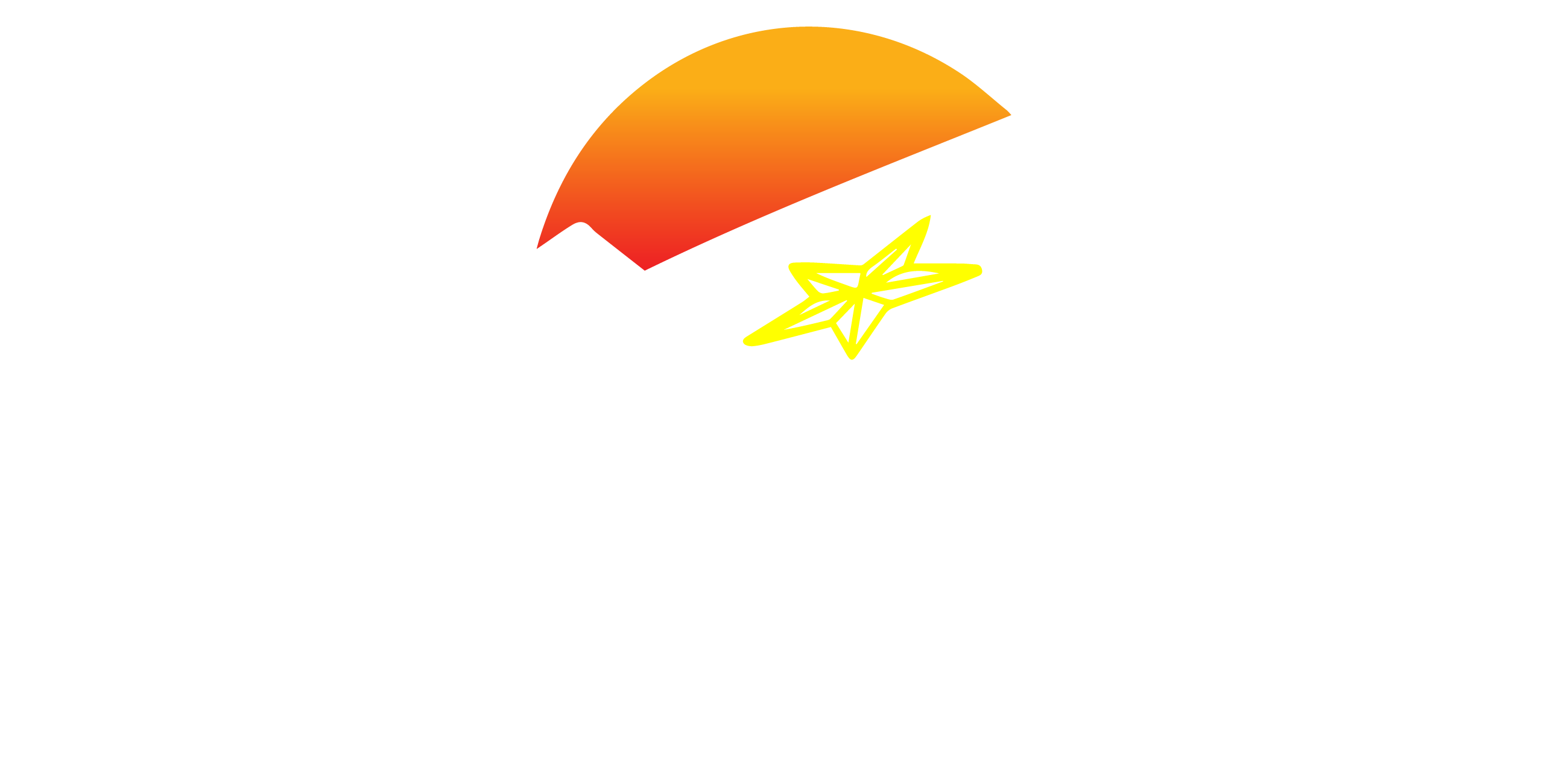 Jones Initiative LLC