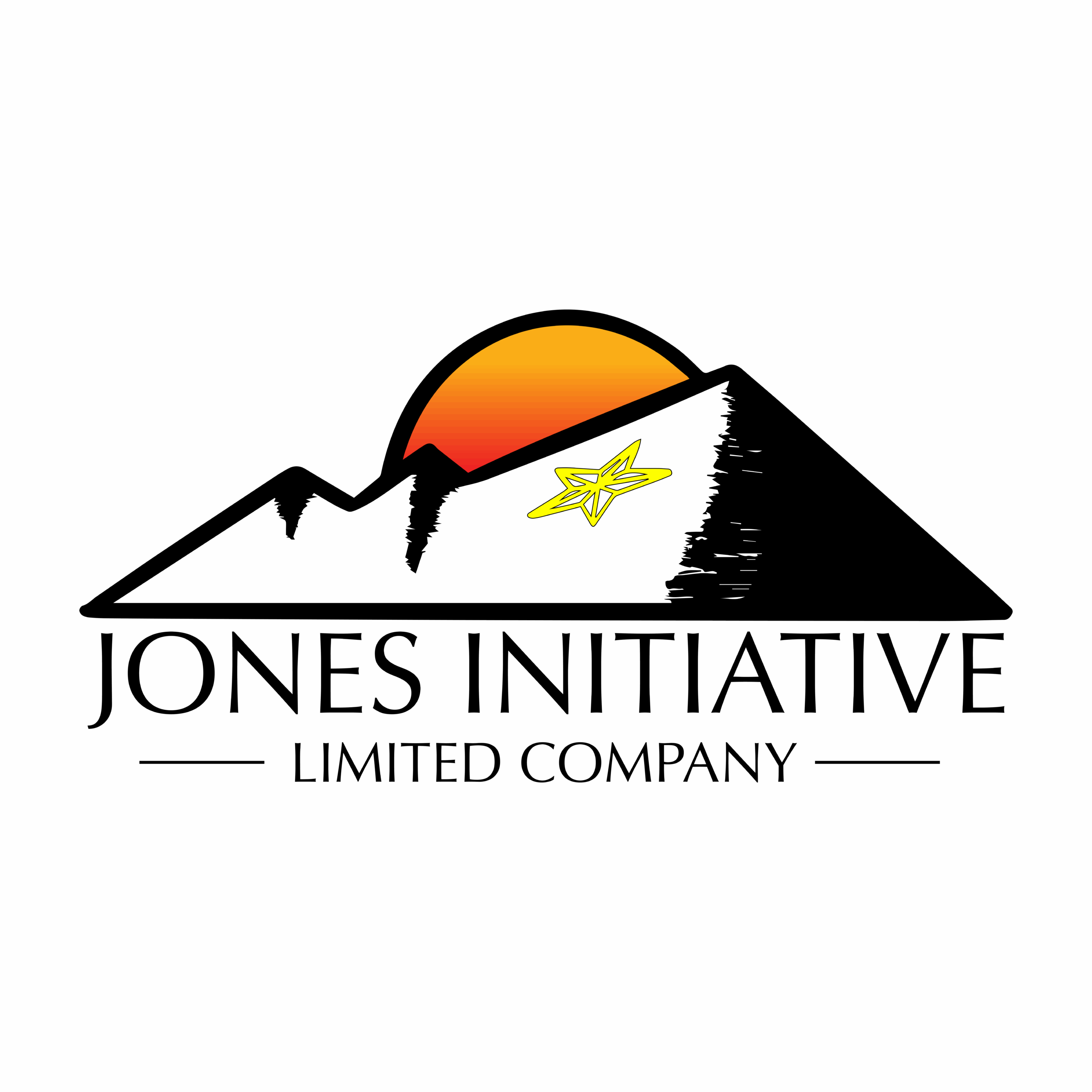  The Jones Initiative Limited Company